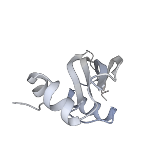 11358_6zqb_DY_v1-1
Cryo-EM structure of the 90S pre-ribosome from Saccharomyces cerevisiae, state B2