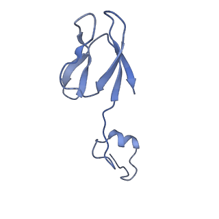 11358_6zqb_Db_v1-1
Cryo-EM structure of the 90S pre-ribosome from Saccharomyces cerevisiae, state B2