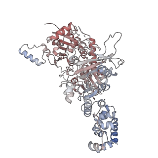 11358_6zqb_JB_v1-1
Cryo-EM structure of the 90S pre-ribosome from Saccharomyces cerevisiae, state B2