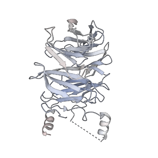 11358_6zqb_JC_v1-1
Cryo-EM structure of the 90S pre-ribosome from Saccharomyces cerevisiae, state B2