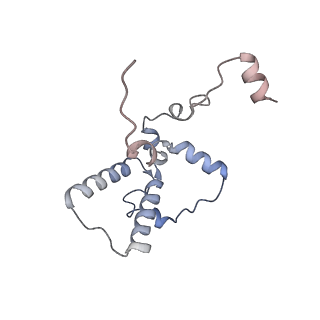 11358_6zqb_JE_v1-1
Cryo-EM structure of the 90S pre-ribosome from Saccharomyces cerevisiae, state B2