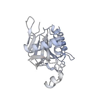 11358_6zqb_JF_v1-1
Cryo-EM structure of the 90S pre-ribosome from Saccharomyces cerevisiae, state B2