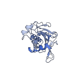 11358_6zqb_JG_v1-1
Cryo-EM structure of the 90S pre-ribosome from Saccharomyces cerevisiae, state B2