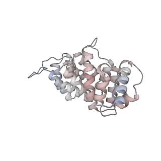 11358_6zqb_JH_v1-1
Cryo-EM structure of the 90S pre-ribosome from Saccharomyces cerevisiae, state B2