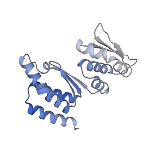 11358_6zqb_JJ_v1-1
Cryo-EM structure of the 90S pre-ribosome from Saccharomyces cerevisiae, state B2