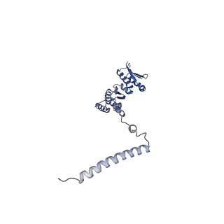 11358_6zqb_JO_v1-1
Cryo-EM structure of the 90S pre-ribosome from Saccharomyces cerevisiae, state B2