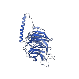 11358_6zqb_JP_v1-1
Cryo-EM structure of the 90S pre-ribosome from Saccharomyces cerevisiae, state B2