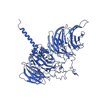 11358_6zqb_UA_v1-1
Cryo-EM structure of the 90S pre-ribosome from Saccharomyces cerevisiae, state B2