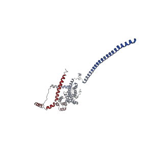 11358_6zqb_UB_v1-1
Cryo-EM structure of the 90S pre-ribosome from Saccharomyces cerevisiae, state B2