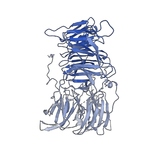 11358_6zqb_UD_v1-1
Cryo-EM structure of the 90S pre-ribosome from Saccharomyces cerevisiae, state B2