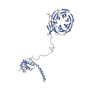 11358_6zqb_UE_v1-1
Cryo-EM structure of the 90S pre-ribosome from Saccharomyces cerevisiae, state B2
