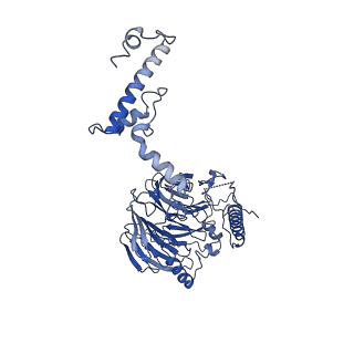 11358_6zqb_UG_v1-1
Cryo-EM structure of the 90S pre-ribosome from Saccharomyces cerevisiae, state B2