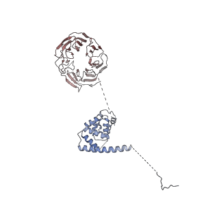 11358_6zqb_UH_v1-1
Cryo-EM structure of the 90S pre-ribosome from Saccharomyces cerevisiae, state B2
