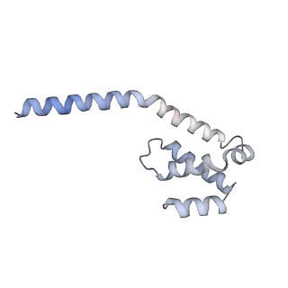 11358_6zqb_UI_v1-1
Cryo-EM structure of the 90S pre-ribosome from Saccharomyces cerevisiae, state B2