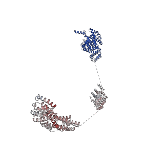 11358_6zqb_UJ_v1-1
Cryo-EM structure of the 90S pre-ribosome from Saccharomyces cerevisiae, state B2