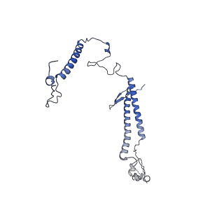 11358_6zqb_UK_v1-1
Cryo-EM structure of the 90S pre-ribosome from Saccharomyces cerevisiae, state B2