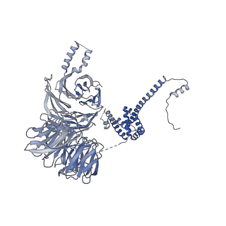 11358_6zqb_UL_v1-1
Cryo-EM structure of the 90S pre-ribosome from Saccharomyces cerevisiae, state B2