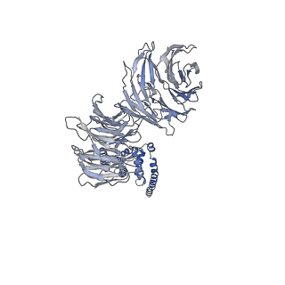 11358_6zqb_UM_v1-1
Cryo-EM structure of the 90S pre-ribosome from Saccharomyces cerevisiae, state B2