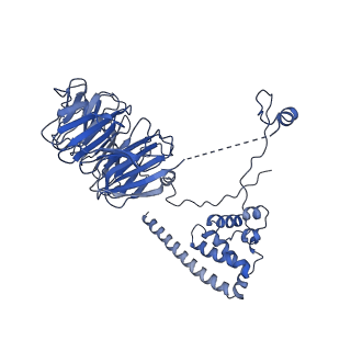 11358_6zqb_UO_v1-1
Cryo-EM structure of the 90S pre-ribosome from Saccharomyces cerevisiae, state B2