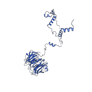 11358_6zqb_UR_v1-1
Cryo-EM structure of the 90S pre-ribosome from Saccharomyces cerevisiae, state B2