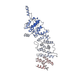 11358_6zqb_US_v1-1
Cryo-EM structure of the 90S pre-ribosome from Saccharomyces cerevisiae, state B2