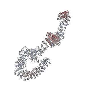 11358_6zqb_UT_v1-1
Cryo-EM structure of the 90S pre-ribosome from Saccharomyces cerevisiae, state B2