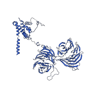11358_6zqb_UU_v1-1
Cryo-EM structure of the 90S pre-ribosome from Saccharomyces cerevisiae, state B2
