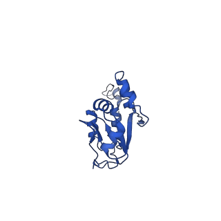 11358_6zqb_UX_v1-1
Cryo-EM structure of the 90S pre-ribosome from Saccharomyces cerevisiae, state B2