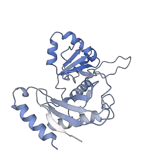 11358_6zqb_UZ_v1-1
Cryo-EM structure of the 90S pre-ribosome from Saccharomyces cerevisiae, state B2