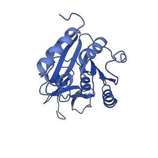 11359_6zqc_CA_v1-1
Cryo-EM structure of the 90S pre-ribosome from Saccharomyces cerevisiae, state Pre-A1