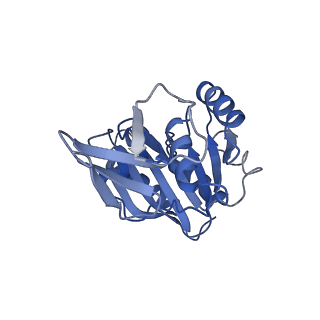 11359_6zqc_CB_v1-1
Cryo-EM structure of the 90S pre-ribosome from Saccharomyces cerevisiae, state Pre-A1