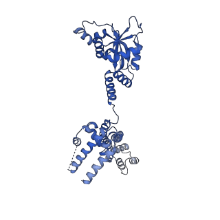 11359_6zqc_CD_v1-1
Cryo-EM structure of the 90S pre-ribosome from Saccharomyces cerevisiae, state Pre-A1