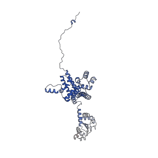 11359_6zqc_CE_v1-1
Cryo-EM structure of the 90S pre-ribosome from Saccharomyces cerevisiae, state Pre-A1