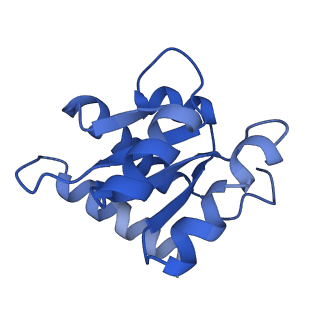 11359_6zqc_CF_v1-1
Cryo-EM structure of the 90S pre-ribosome from Saccharomyces cerevisiae, state Pre-A1