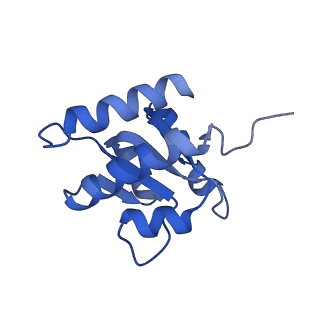 11359_6zqc_CG_v1-1
Cryo-EM structure of the 90S pre-ribosome from Saccharomyces cerevisiae, state Pre-A1