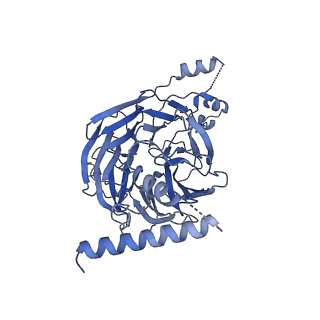 11359_6zqc_CH_v1-1
Cryo-EM structure of the 90S pre-ribosome from Saccharomyces cerevisiae, state Pre-A1