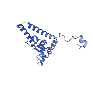 11359_6zqc_CI_v1-1
Cryo-EM structure of the 90S pre-ribosome from Saccharomyces cerevisiae, state Pre-A1