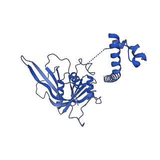 11359_6zqc_CJ_v1-1
Cryo-EM structure of the 90S pre-ribosome from Saccharomyces cerevisiae, state Pre-A1