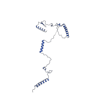 11359_6zqc_CK_v1-1
Cryo-EM structure of the 90S pre-ribosome from Saccharomyces cerevisiae, state Pre-A1