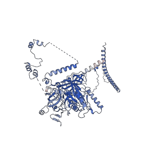 11359_6zqc_CL_v1-1
Cryo-EM structure of the 90S pre-ribosome from Saccharomyces cerevisiae, state Pre-A1
