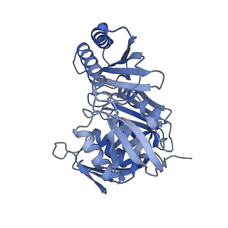 11359_6zqc_CM_v1-1
Cryo-EM structure of the 90S pre-ribosome from Saccharomyces cerevisiae, state Pre-A1