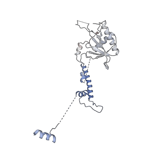 11359_6zqc_CN_v1-1
Cryo-EM structure of the 90S pre-ribosome from Saccharomyces cerevisiae, state Pre-A1