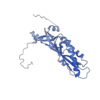 11359_6zqc_DA_v1-1
Cryo-EM structure of the 90S pre-ribosome from Saccharomyces cerevisiae, state Pre-A1