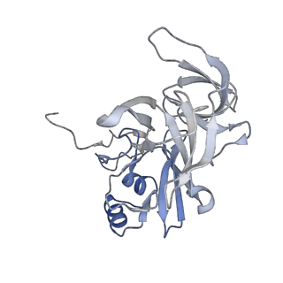 11359_6zqc_DE_v1-1
Cryo-EM structure of the 90S pre-ribosome from Saccharomyces cerevisiae, state Pre-A1