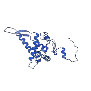 11359_6zqc_DF_v1-1
Cryo-EM structure of the 90S pre-ribosome from Saccharomyces cerevisiae, state Pre-A1