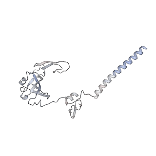 11359_6zqc_DG_v1-1
Cryo-EM structure of the 90S pre-ribosome from Saccharomyces cerevisiae, state Pre-A1