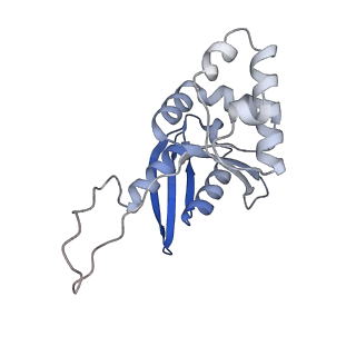 11359_6zqc_DH_v1-1
Cryo-EM structure of the 90S pre-ribosome from Saccharomyces cerevisiae, state Pre-A1