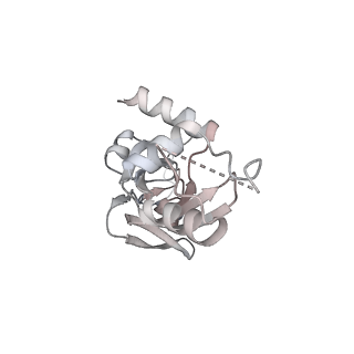 11359_6zqc_DI_v1-1
Cryo-EM structure of the 90S pre-ribosome from Saccharomyces cerevisiae, state Pre-A1