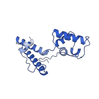 11359_6zqc_DN_v1-1
Cryo-EM structure of the 90S pre-ribosome from Saccharomyces cerevisiae, state Pre-A1