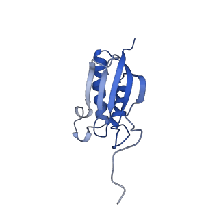 11359_6zqc_DO_v1-1
Cryo-EM structure of the 90S pre-ribosome from Saccharomyces cerevisiae, state Pre-A1